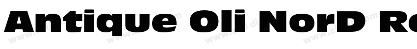 Antique Oli NorD Reg字体转换